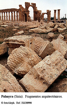 Las ruinas de Palmyra