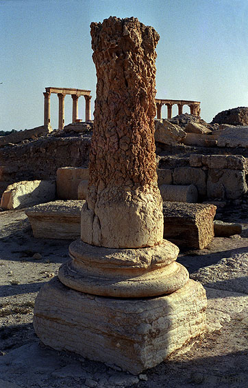 Las ruinas de Palmyra