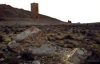 Las ruinas de Palmyra