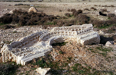 Las ruinas de Palmyra