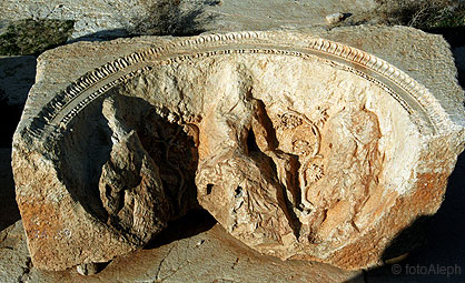 Las ruinas de Palmyra