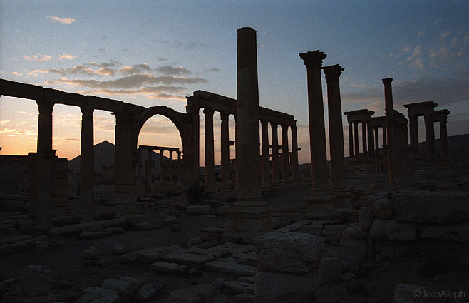 Las ruinas de Palmyra