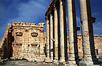 Palmyra