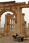 Palmyra