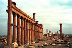 Palmyra