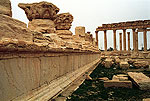 Palmyra