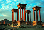 Palmyra