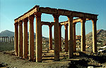 Palmyra