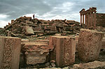 Palmyra