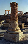 Palmyra