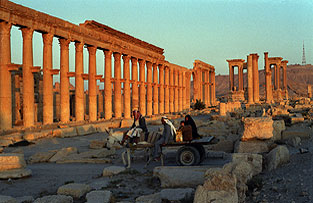 Palmyra