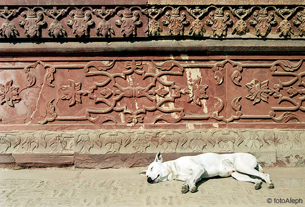 Fuerte Rojo de Agra