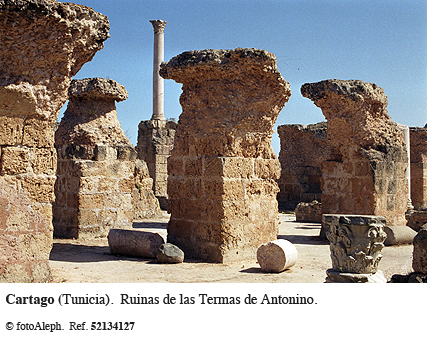 Tunicia romana