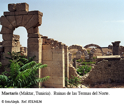 Tunicia romana