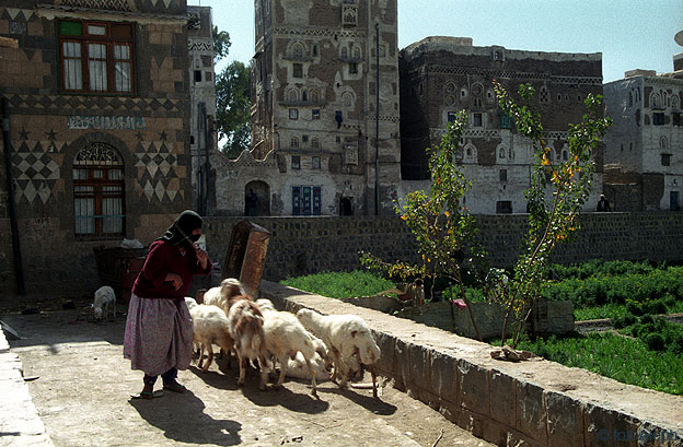 Yemen