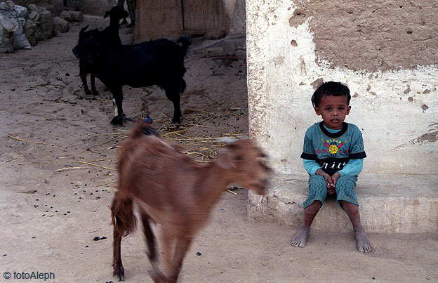 Yemen
