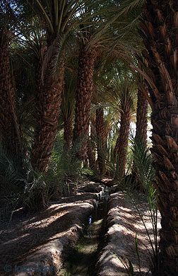Yemen