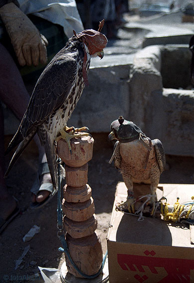 Yemen