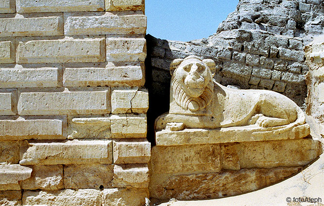 El zoo del faraon