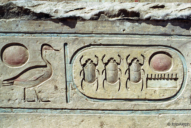 El zoo del faraon
