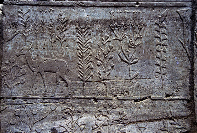 El zoo del faraon
