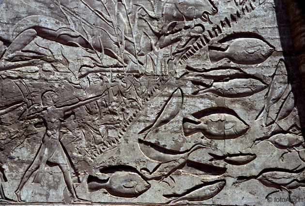 El zoo del faraon
