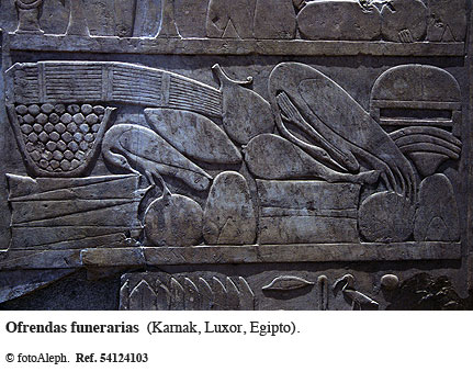 El zoo del faraon