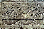 El zoo del faraon