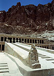 El zoo del faraon