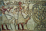 El zoo del faraon