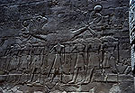 El zoo del faraon