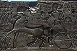 El zoo del faraon