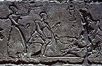 El zoo del faraon