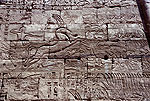 El zoo del faraon