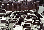 El zoo del faraon