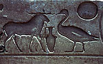 El zoo del faraon