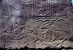 El zoo del faraon