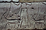 El zoo del faraon