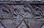 El zoo del faraon