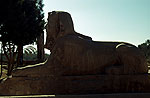 El zoo del faraon