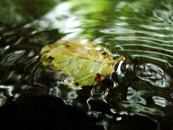 El agua como obra de arte