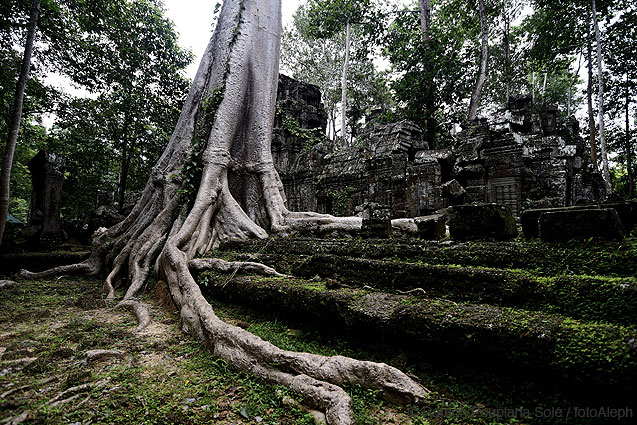 Angkor