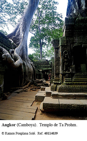 Angkor