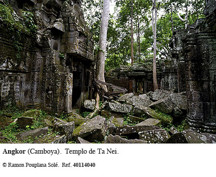 Angkor