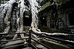 Angkor