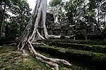 Angkor