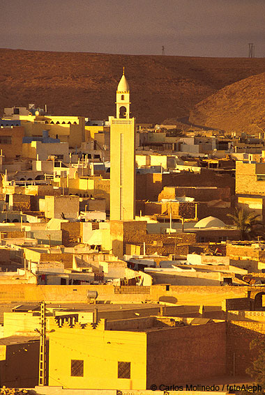 Argelia profunda