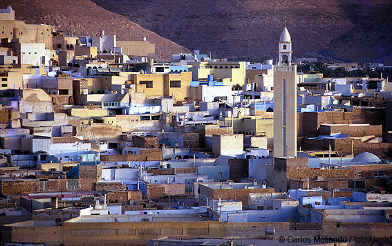 Argelia profunda