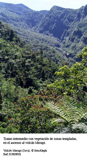 Volcanes de Indonesia