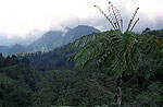 Volcanes de Indonesia